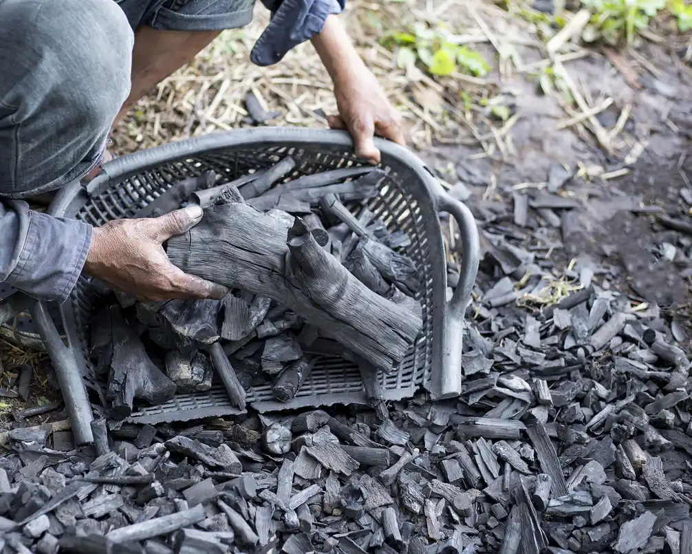 A person is collecting metal scrap pieces into a basket by hand on open ground.